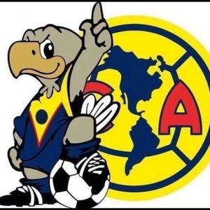 Meet your Posher, Ynot